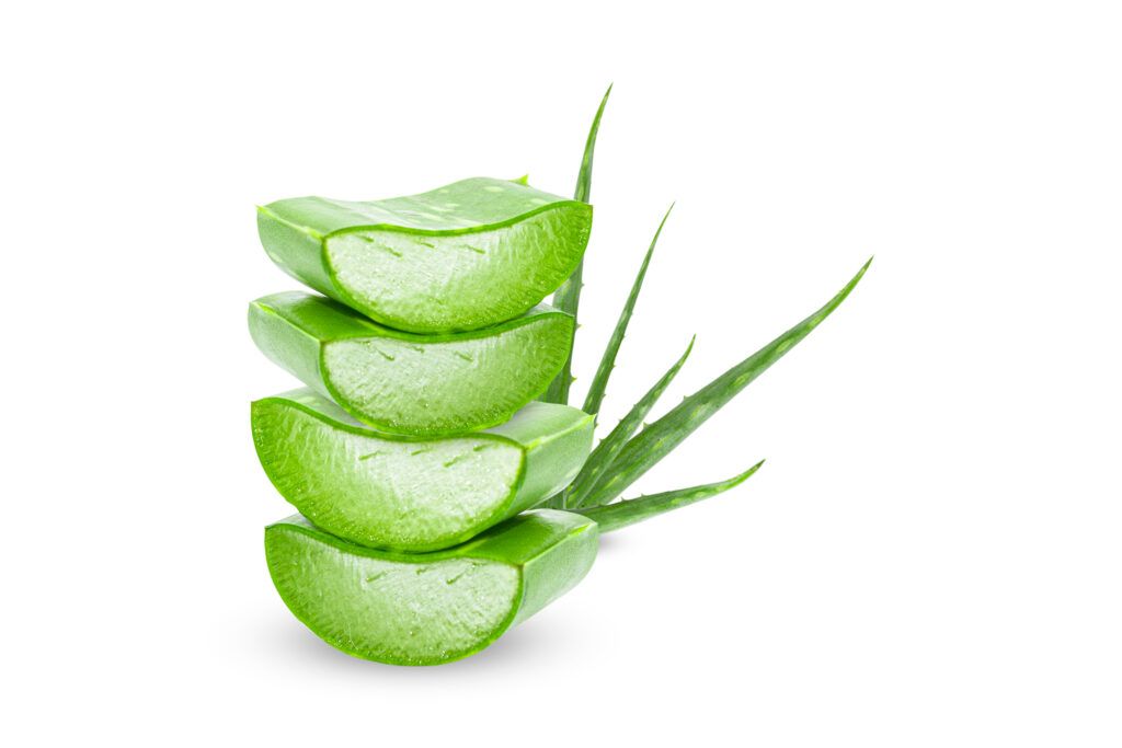 Aloe,Vera,Slice,On,White,Background.