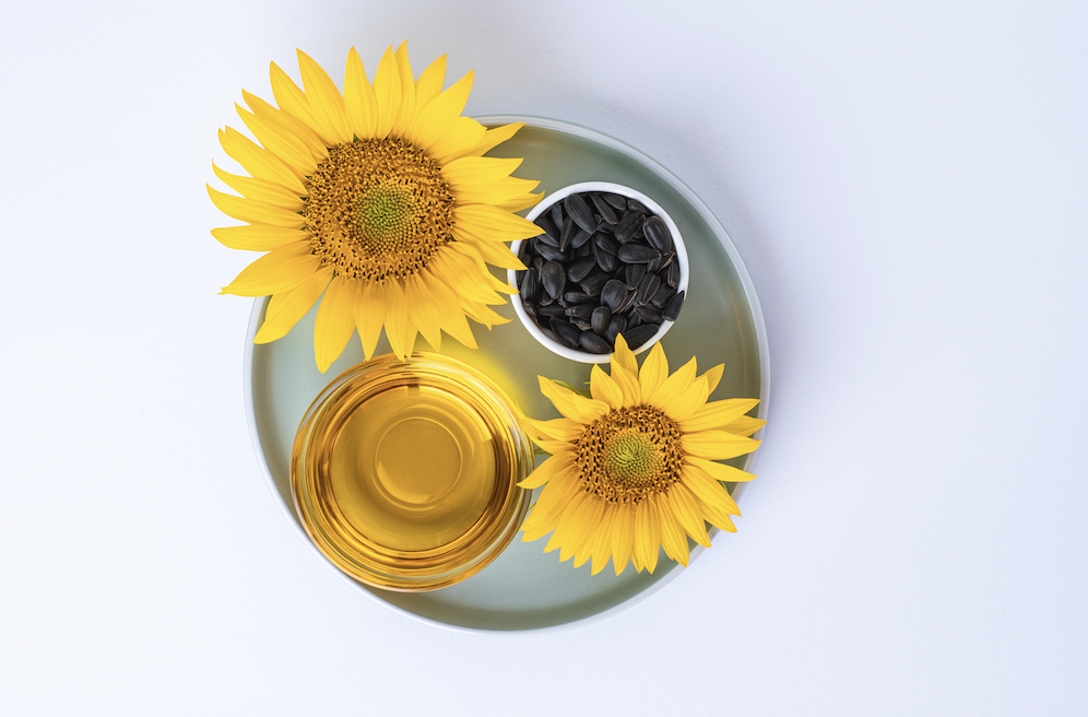 Semi di girasole